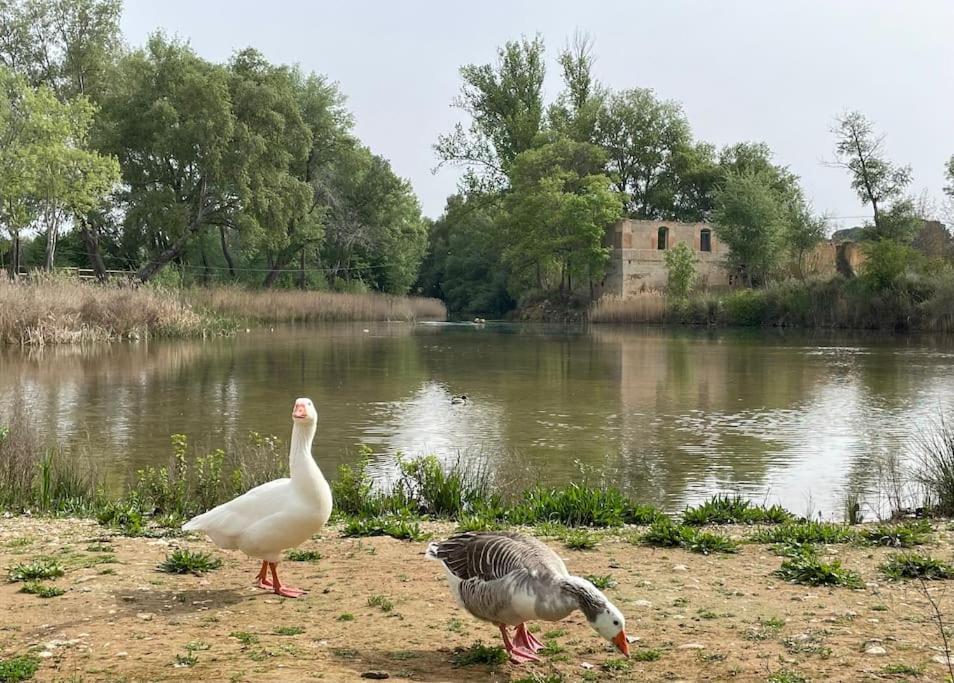 Holiday home Berta El Picazo