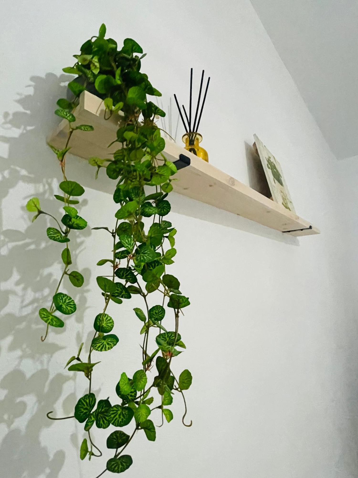 Holiday home Berta El Picazo